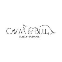 caviar and bull with camelot films9