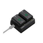 Sony Dual NP-FZ100 Battery Chargers